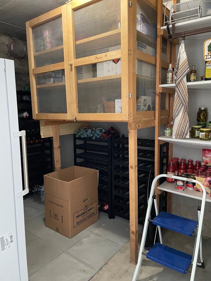 Storage room with wooden cabinet, glass doors, shelves, wine racks, boxes, ladder, refrigerator