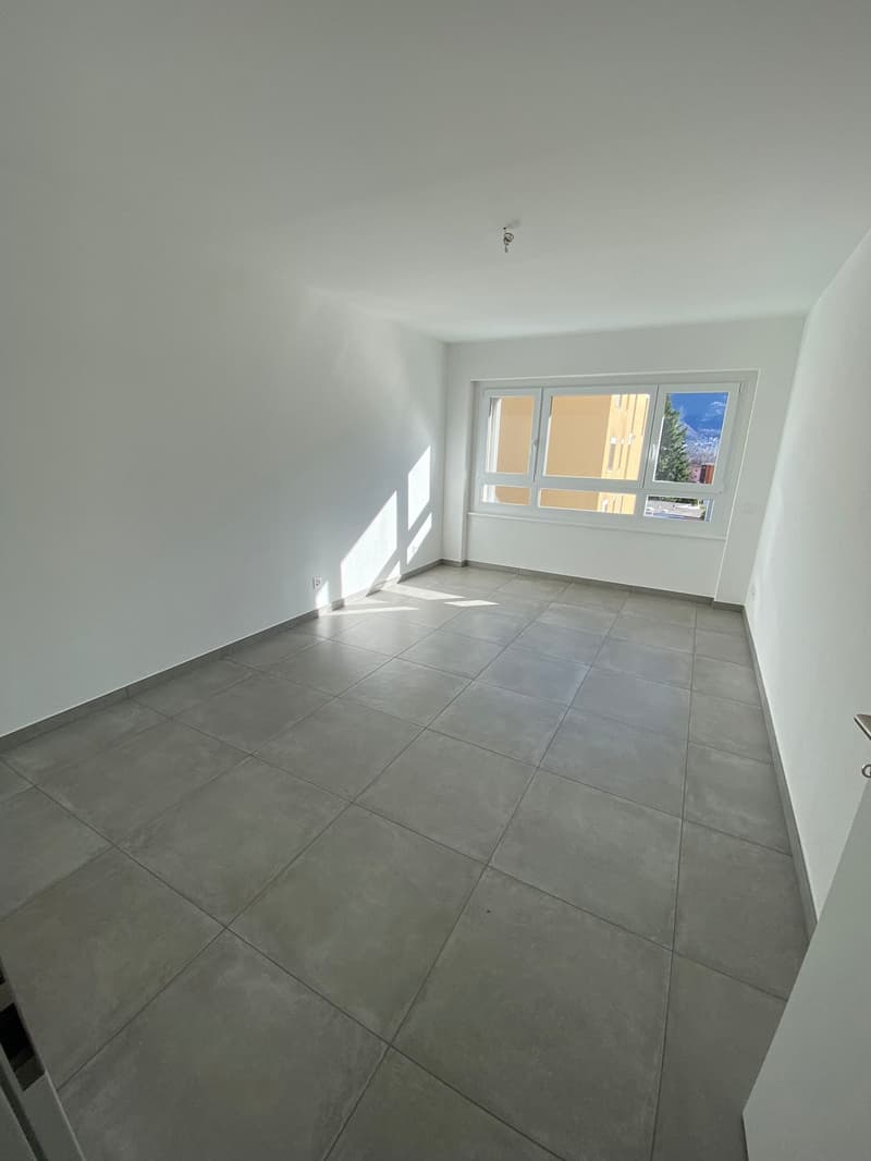 Luminoso appartamento di 3.5 locali con terrazza a Sementina (8)