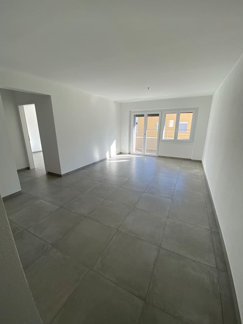 Luminoso appartamento di 3.5 locali con terrazza a Sementina (7)