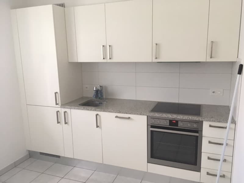 Appartamento 3.5 locali, zona residenziale ben servita (6)