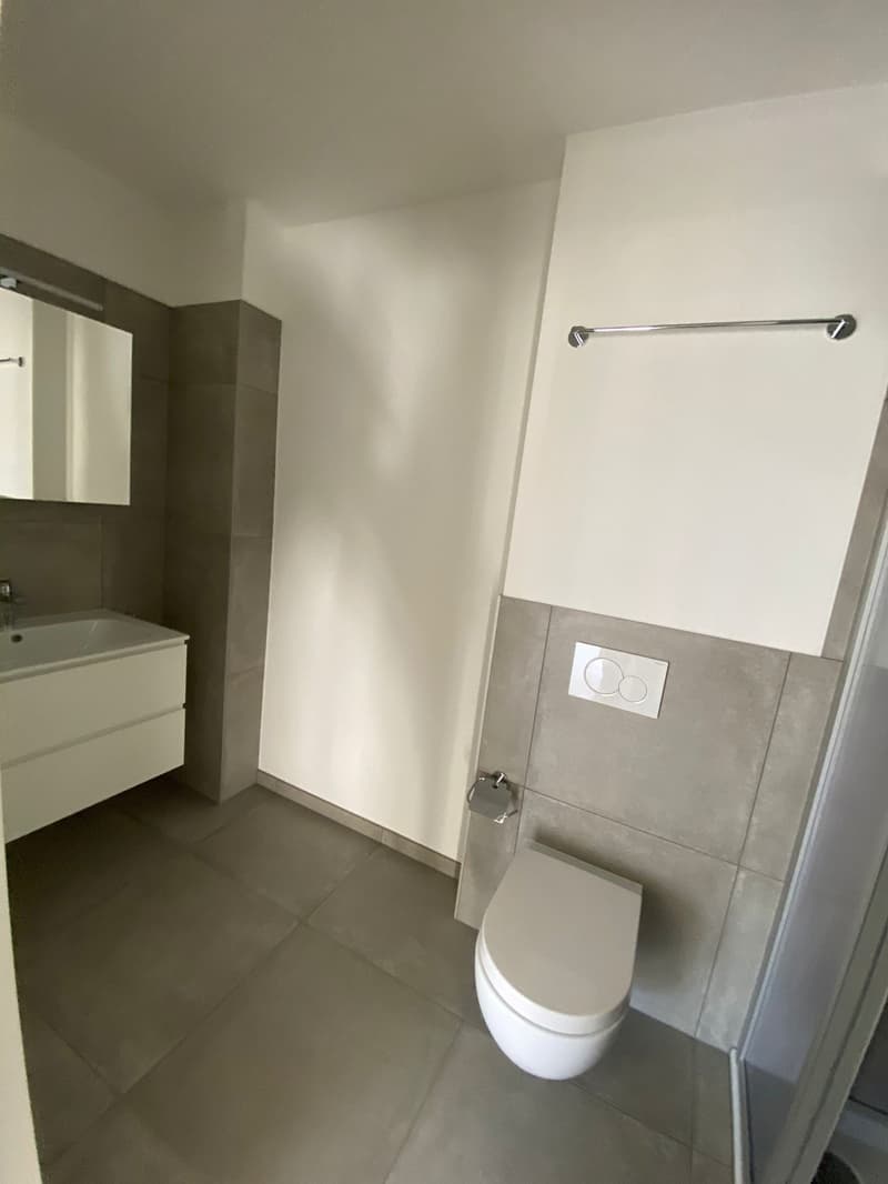 Appartamento pari al nuovo di 3.5 locali, Sementina (11)
