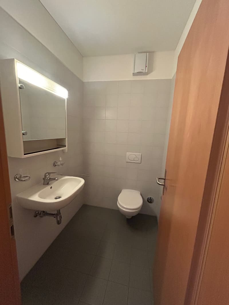 Piacevole 3.5 locali, centralissimo (11)