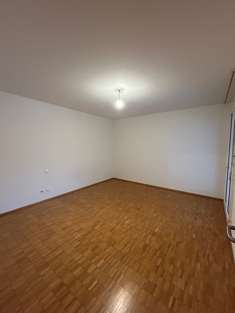 Piacevole 3.5 locali, centralissimo (9)