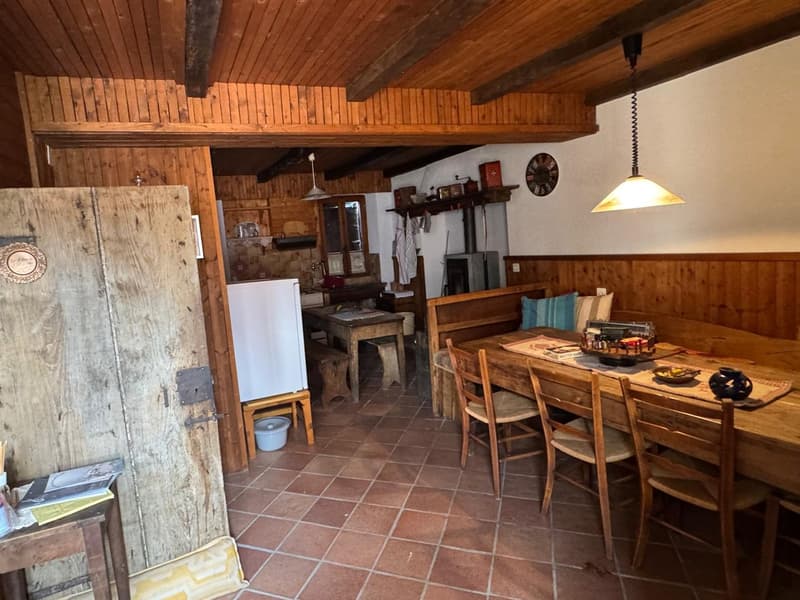 Casa rustica 4.5 locali (3)