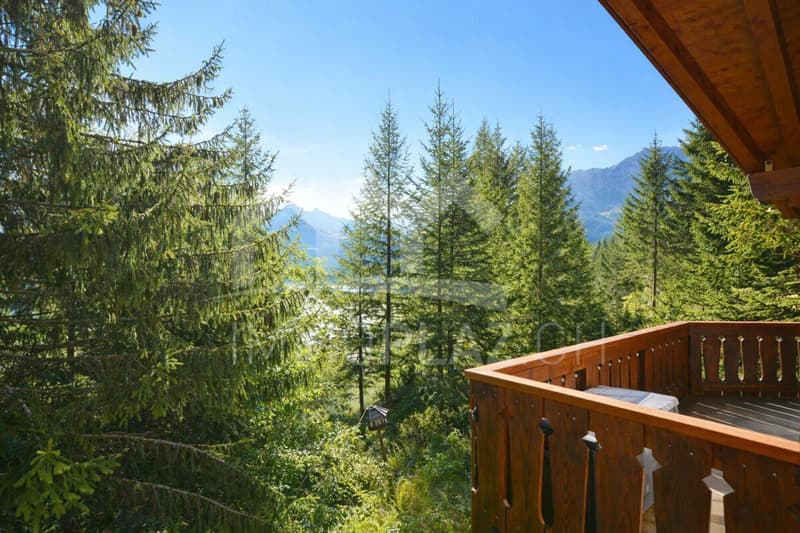 Charmantes Ferienchalet im Skigebiet (1)