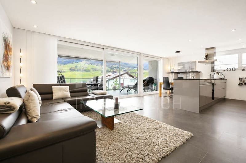 Neuwertige 3½ Zi.-Ferienwohnung an bester Lage (3)