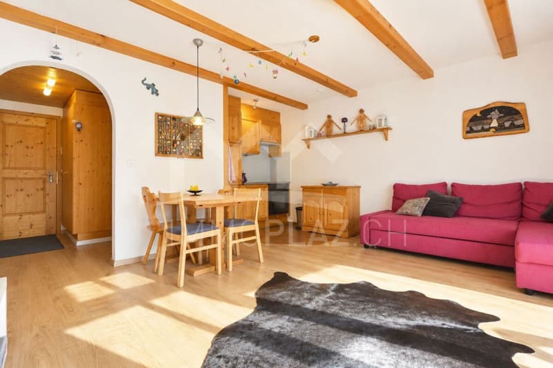 Geräumige 1½ Zi.-Ferienwohnung an sonniger Südhanglage (4)