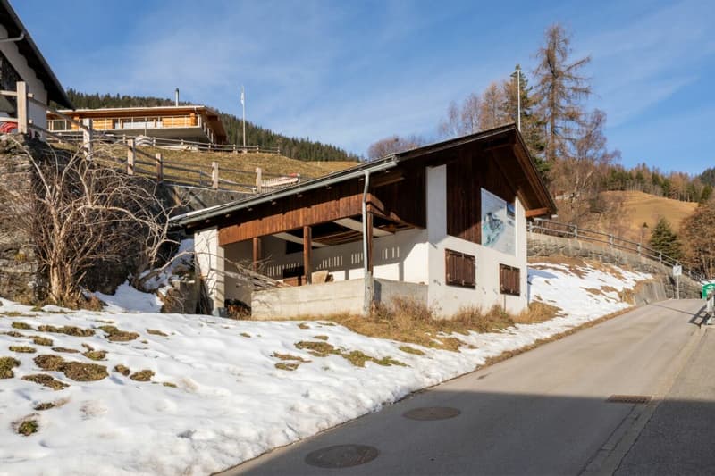 Bauland für Erstwohnungen mit Stallgebäude (5)