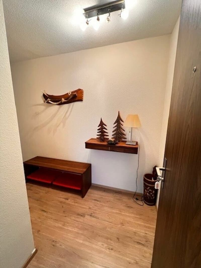 Wunderschöne eingerichtete 2 Zimmer Wohnung (7)