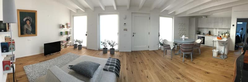 APPARTAMENTO 2.5 LOCALI IN CENTRO CITTÀ (11)