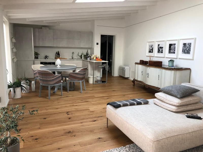 APPARTAMENTO 2.5 LOCALI IN CENTRO CITTÀ (8)