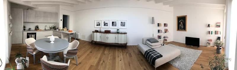 APPARTAMENTO 2.5 LOCALI IN CENTRO CITTÀ (5)