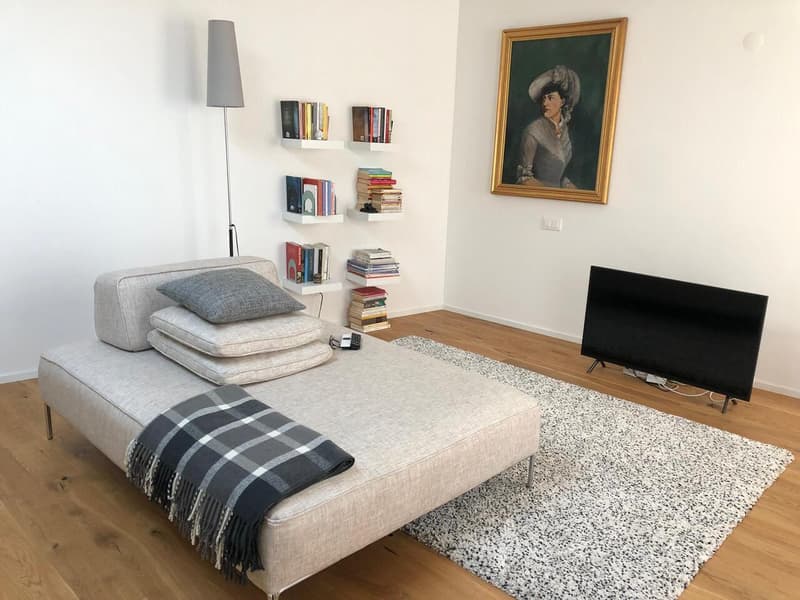 APPARTAMENTO 2.5 LOCALI IN CENTRO CITTÀ (6)
