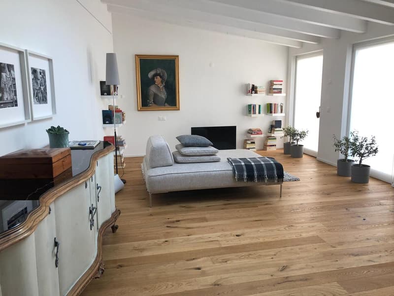 APPARTAMENTO 2.5 LOCALI IN CENTRO CITTÀ (4)