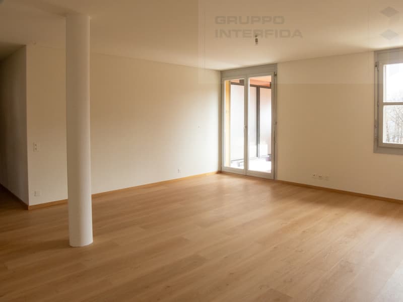 APPARTAMENTO 3.5 LOCALI SPAZIOSO E MODERNO (5)
