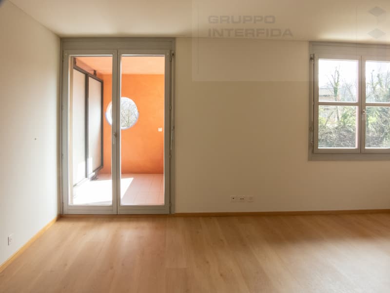 APPARTAMENTO 3.5 LOCALI SPAZIOSO E MODERNO (6)