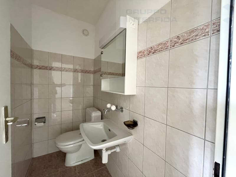 CONFORTEVOLE APPARTAMENTO (7)