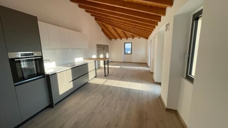 DUPLEX 4.5 LOCALI RISTRUTTURATO (2)