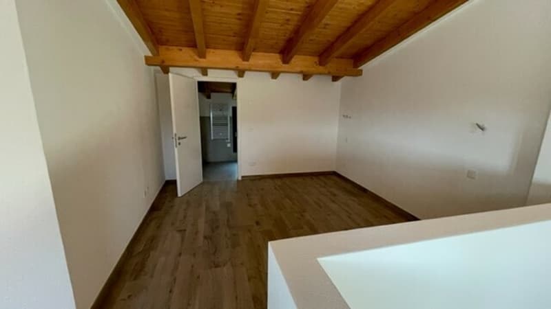 DUPLEX 4.5 LOCALI RISTRUTTURATO (3)