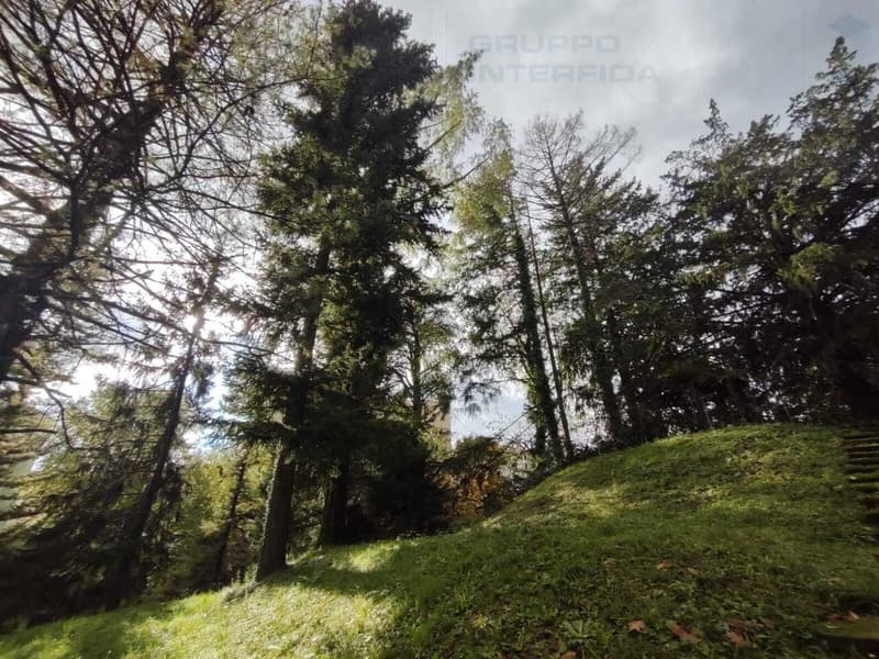 TERRENO EDIFICABILE IN OTTIMA POSIZIONE (8)