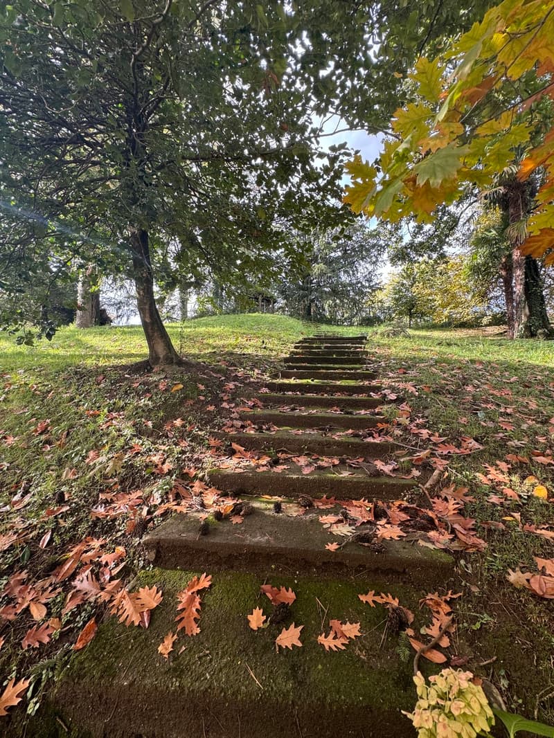 VILLA INDIPENDENTE CON GRANDE PARCO (2)