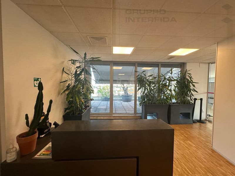 AFFITASI UFFICIO/SPAZIO EVENTI CON TERRAZZA (2)