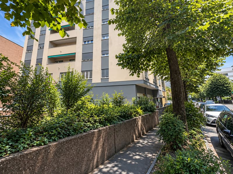 APPARTAMENTI 1.5 LOCALI RISTRUTTURATI IN CENTRO (9)