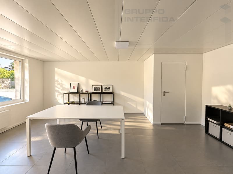 UFFICIO RISTRUTTURATO CON VETRINE (3)