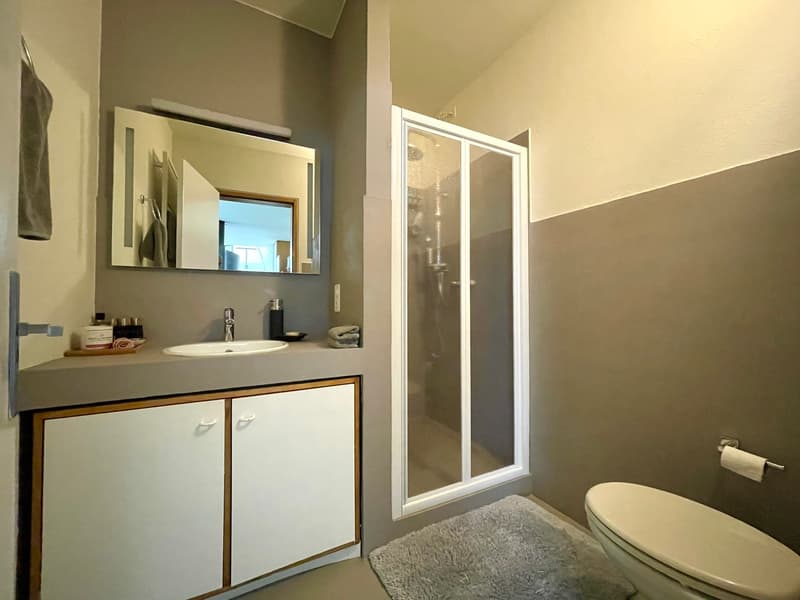 CASA UNIFAMILIARE IMMERSA NEL VERDE (9)