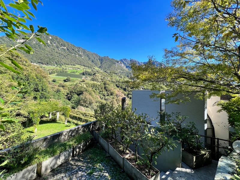 CASA UNIFAMILIARE IMMERSA NEL VERDE (12)