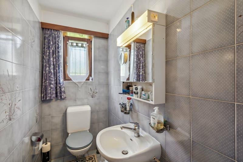 CASA SINGOLA CON DUE APPARTAMENTI INDIPENDENTI (9)