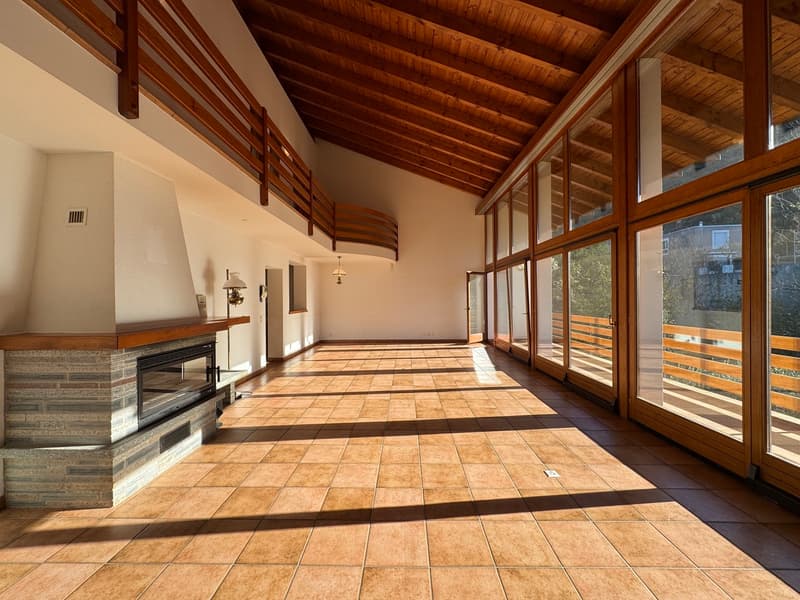BELLA VILLA BIFAMILIARE 5.5 LOCALI (2)