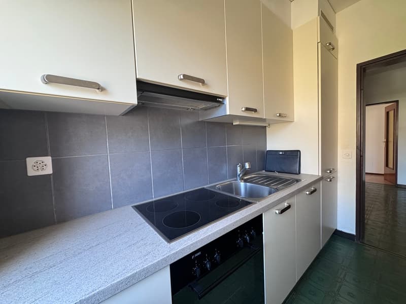 APPARTAMENTO 3.5 LOCALI MOLTO CENTRALE (3)