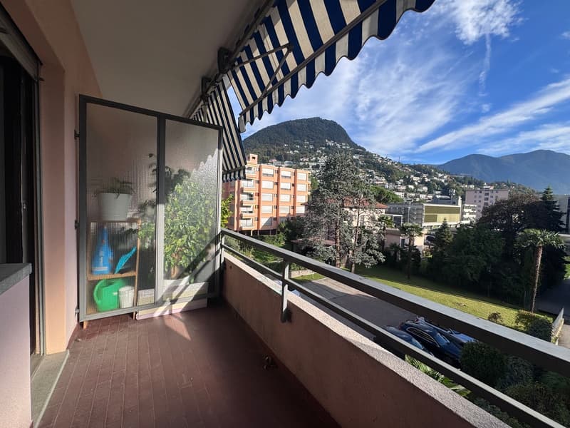 APPARTAMENTO 3.5 LOCALI MOLTO CENTRALE (10)