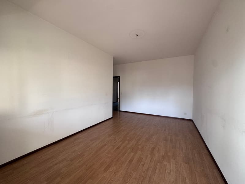 APPARTAMENTO 3.5 LOCALI MOLTO CENTRALE (8)