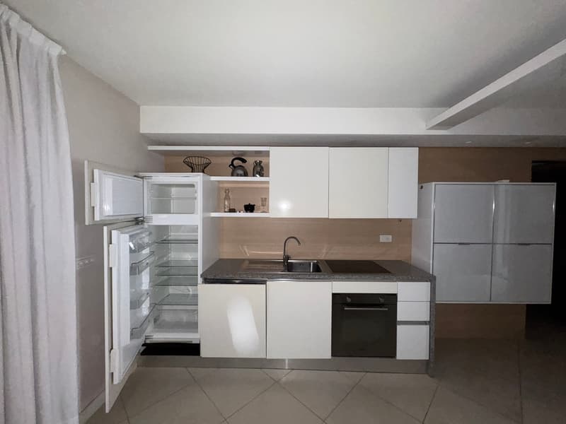 MODERNO E COMODO APPARTAMENTO IN RESIDENZA VILLA IVY (2)