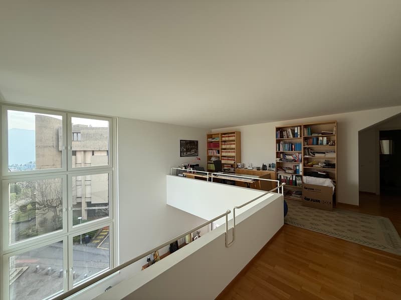 SPLENDIDO ATTICO (11)
