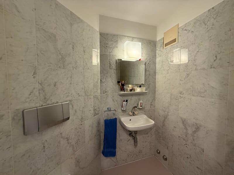 SPLENDIDO ATTICO (9)