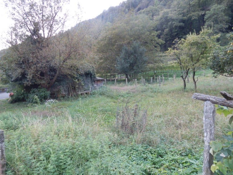 TERRENO PIANEGGIANTE EDIFICABILE R2 (4)