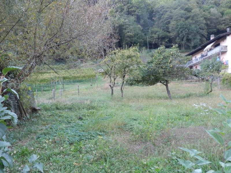 TERRENO PIANEGGIANTE EDIFICABILE R2 (2)