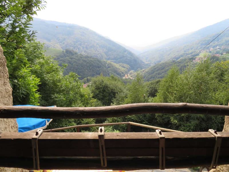 NUOVO PREZZO - RUSTICO CON GIARDINO (2)