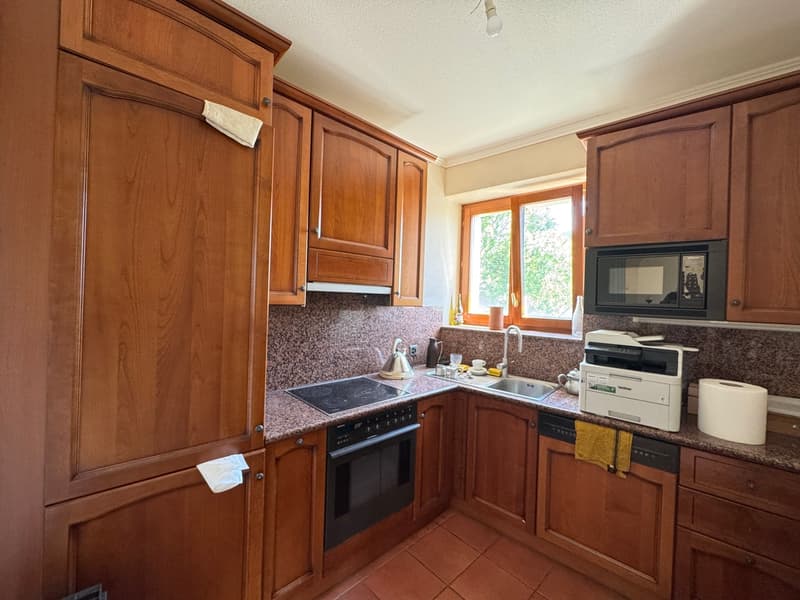 ELEGANTE APPARTAMENTO 3.5 LOCALI IN CASA D'EPOCA (5)
