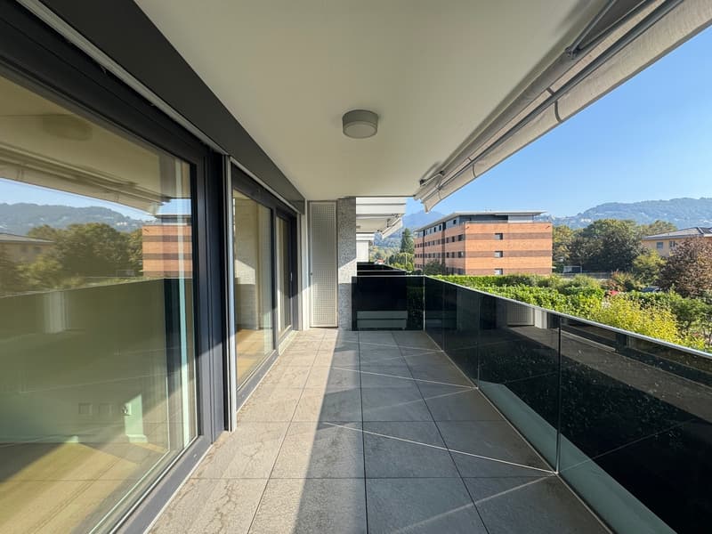 APPARTAMENTO 3.5 LOCALI, CONFORTEVOLE E LUMINOSO (10)