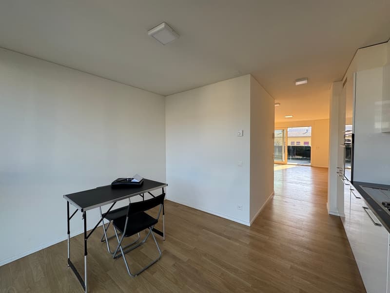 APPARTAMENTO 3.5 LOCALI, CONFORTEVOLE E LUMINOSO (3)