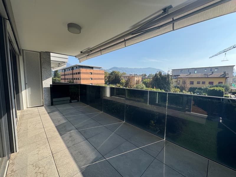 APPARTAMENTO 3.5 LOCALI, CONFORTEVOLE E LUMINOSO (11)