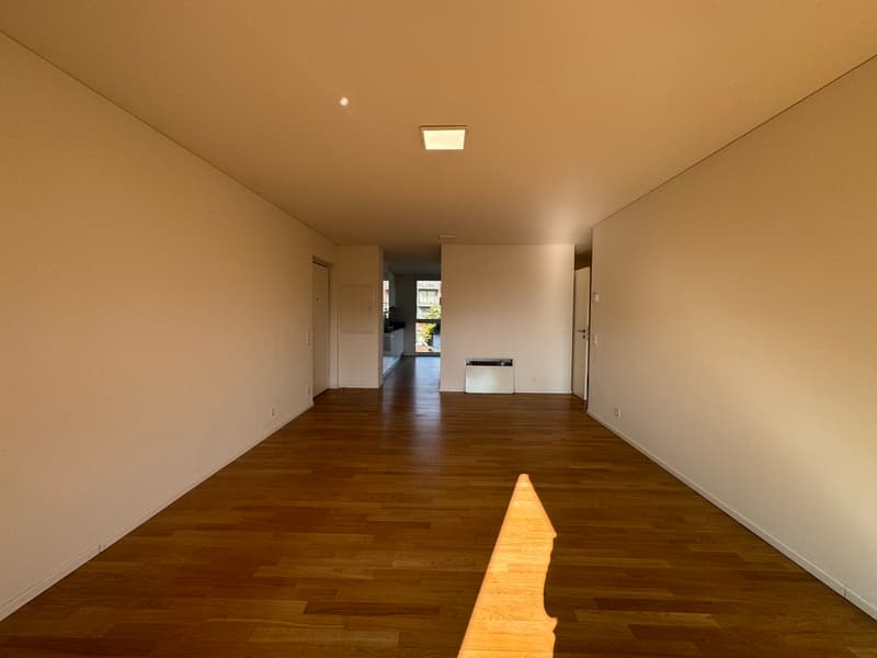 APPARTAMENTO 3.5 LOCALI, CONFORTEVOLE E LUMINOSO (4)