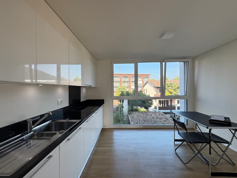 APPARTAMENTO 3.5 LOCALI, CONFORTEVOLE E LUMINOSO (2)