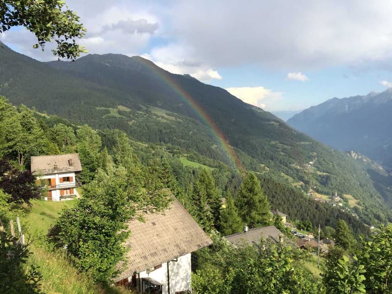 APPARTAMENTI IN CHALET (8)