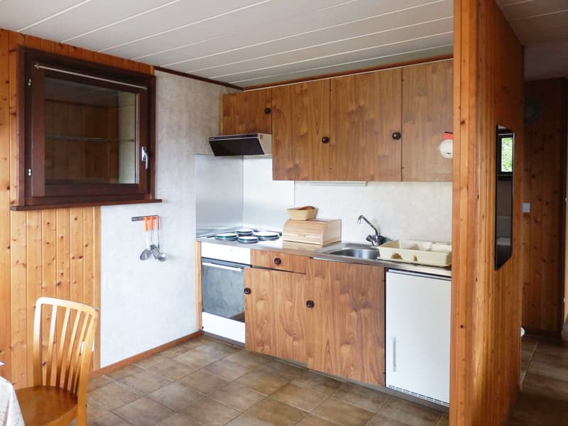 APPARTAMENTI IN CHALET (5)