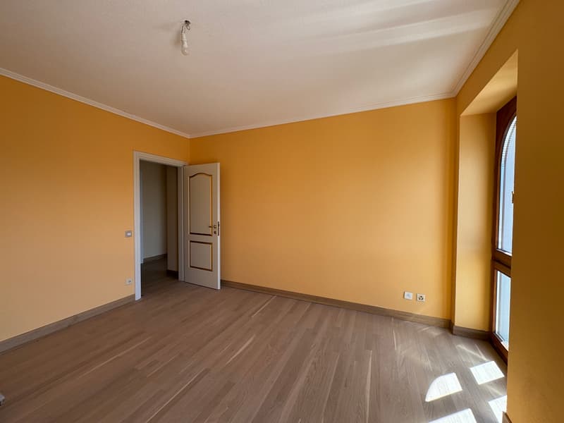 ELEGANTE APPARTAMENTO 3.5 LOCALI IN CASA D'EPOCA (7)
